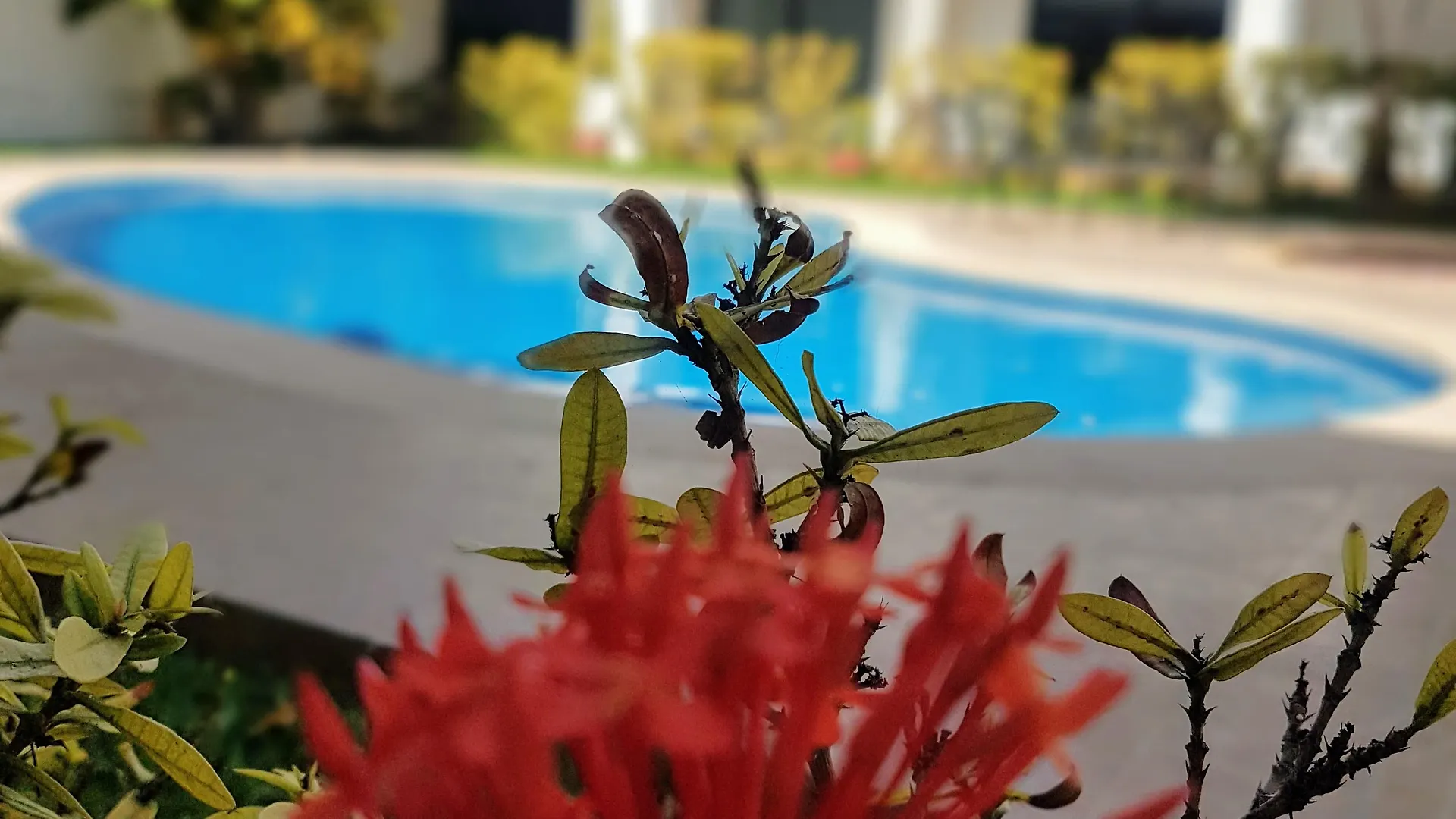 Hotel Holly Merida